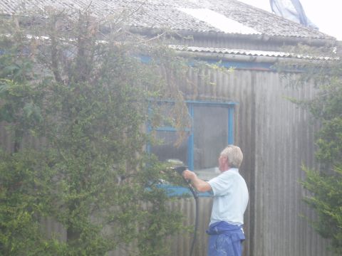 Cacti_Pat_testing_Clean_up_yard_Gell_Merlin_007