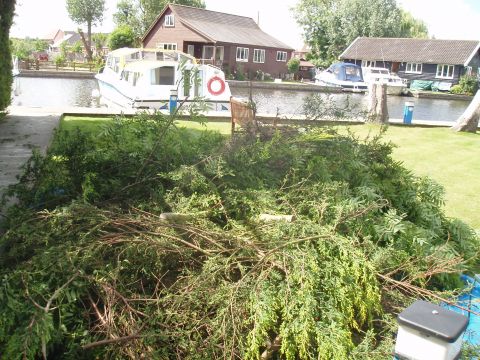 Tree_cutting._Gloss_on_Our_Judith_001