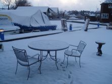 snowy19