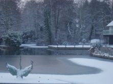 snowy2