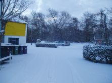 snowy20
