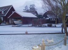snowy3